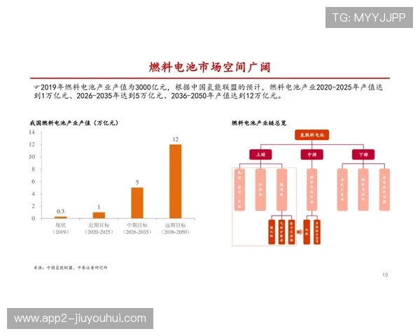 比赛焦点:关键生态位争夺影响整局战术选择解析,生态系统的关键度指数